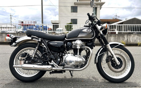 KAWASAKI W800 2024 EJ800E