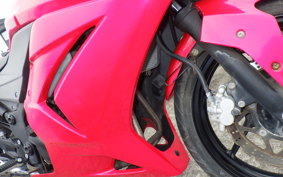 KAWASAKI NINJA 250R EX250K