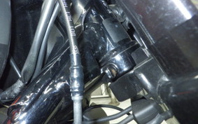 HARLEY XG750 STREET ROD 2021