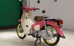 HONDA C50 SUPER CUB 2009 AA09