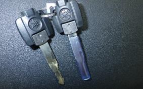 YAMAHA CYGNUSｸﾞﾘﾌｧｽ SEJ4J