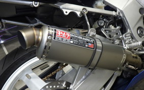 SUZUKI GSX-R1000 2001