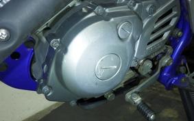 YAMAHA TT-R125 E 2009 CE12Y