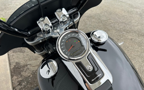 HARLEY FLSB 2021 YMJ