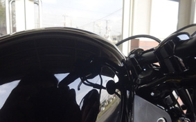 HARLEY XL1200X 2020 LC3