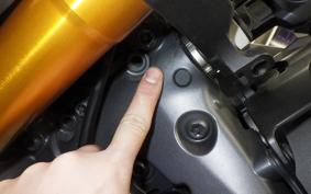 YAMAHA MT-09 SP 1989 RN87J