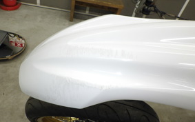 YAMAHA WR250X DG15J