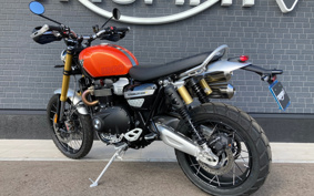 TRIUMPH  TRIUMPH  SCRAMBLER 1200XE 2024 DADS0H