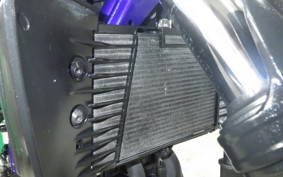 YAMAHA MT-25 2001 RG10J