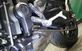 TRIUMPH TRIDENT 660 2024