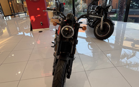 HARLEY X500 2024 W5B