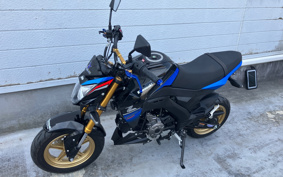 KAWASAKI Z125 PRO BR125H