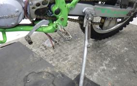 KAWASAKI KDX200SR Gen.2 DX200G