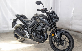 YAMAHA MT-25 RG74J