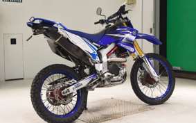 YAMAHA WR250R 2023 DG15J