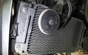 SUZUKI Vｽﾄﾛｰﾑ250 2022
