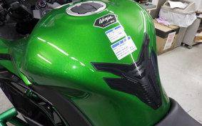 KAWASAKI NINJA 1100SX 2025 ZXT10H