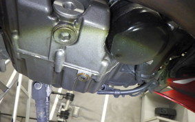 DUCATI MONSTER 937 + 2021