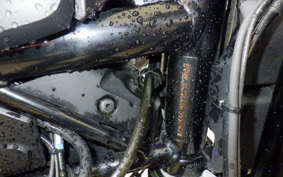 HUSQVARNA SVARTPILEN 401 2022