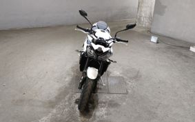 TRIUMPH TRIUMPH STREET TRIPLE R 2024 HDA604