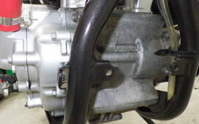 YAMAHA WR250X DG15J