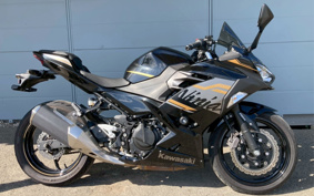 KAWASAKI NINJA 250 EX250P
