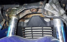 SUZUKI SKYWAVE 250 (Burgman 250) SS 1988 CJ43A