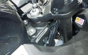 KAWASAKI NINJA 1000SX 2024 ZXT02K