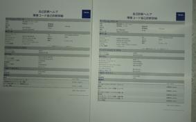 HARLEY FXDL 1580 2013