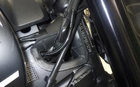 TRIUMPH TRIDENT 660 2022