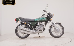 KAWASAKI 250SS 2010 S1F