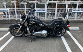 HARLEY  HARLEY FLSTFB 2010 JN5