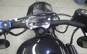 HARLEY XL1200NS 2018