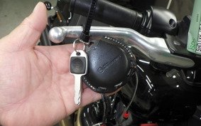 HARLEY FXFB1750 2020