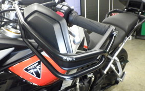 TRIUMPH TIGER 900 RALLY PRO 2024