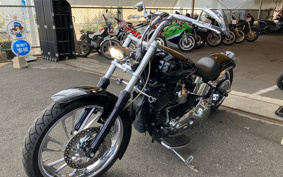 HARLEY FLSTF1340-1450 2005 BMY