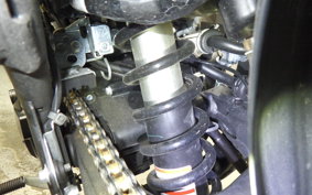 KAWASAKI KLX230 SM LX232A