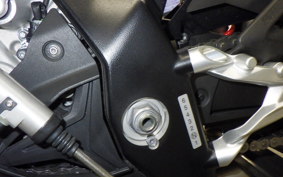 BMW S1000RR M DDC 2020