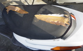 YAMAHA CYGNUS 125 X SE12J