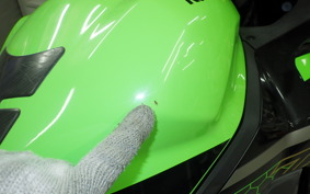 KAWASAKI ZX-25R 2018 ZX250E