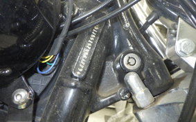 HARLEY FXSTD 1580 2007