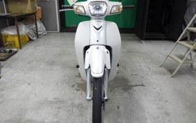 HONDA C110 SUPER CUB 2010 JA10