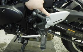 KAWASAKI Z900RS 2025 ZR900K