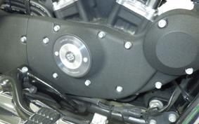 HARLEY XL883N 2013