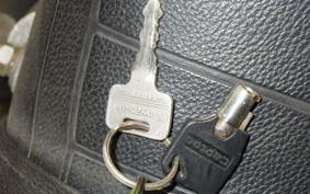 KAWASAKI 250TR 2017 BJ250F