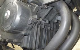 HONDA HORNET 250 2013 MC31
