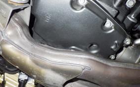 YAMAHA FZ1 FAZER 2010 RN21J