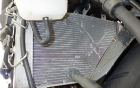 KAWASAKI ZX-4R SE 2025 ZX400P