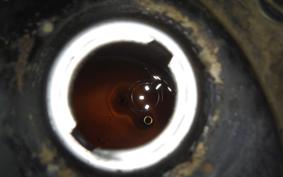 HONDA C70 SUPER CUB 2008 C70