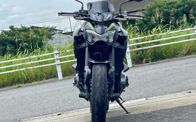 KAWASAKI Z900 2019 ZR900B